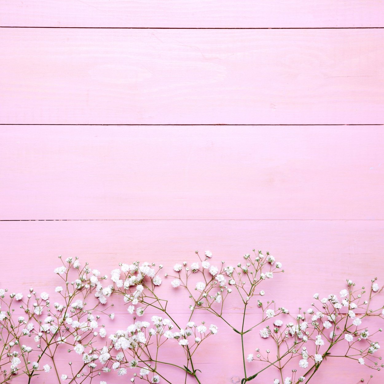 Эстетичный розовый фон