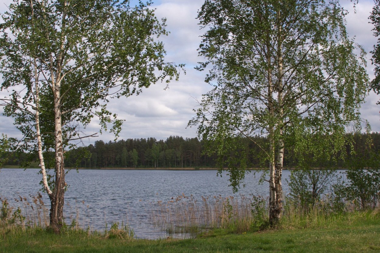 Озеро святое рязанская область