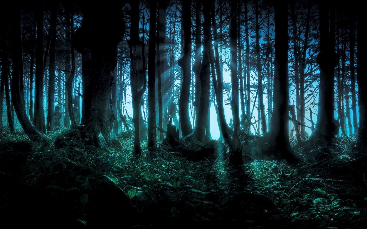 Темный густой лес