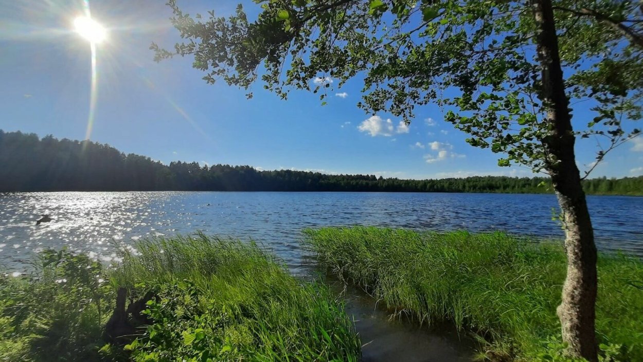Белое озеро нижегородская область