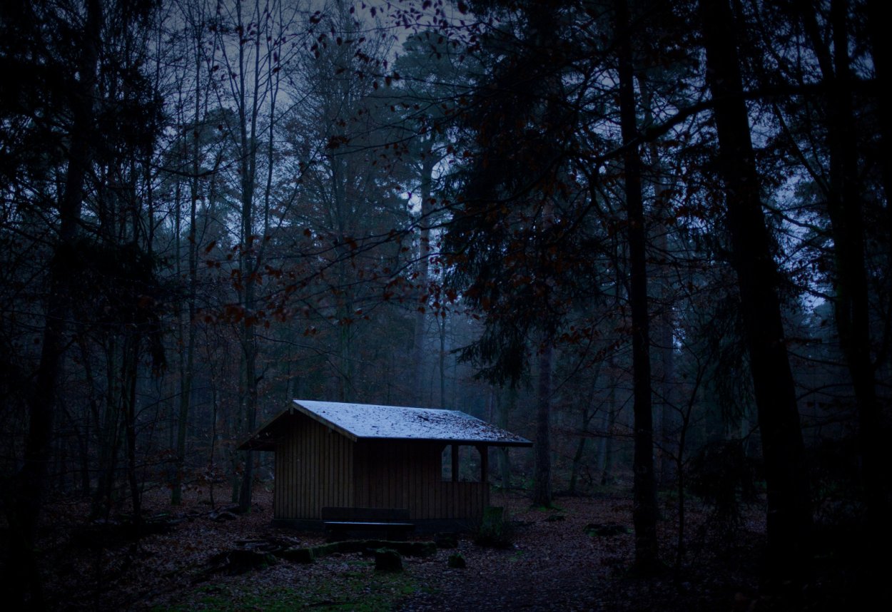 Жуткий дом в лесу