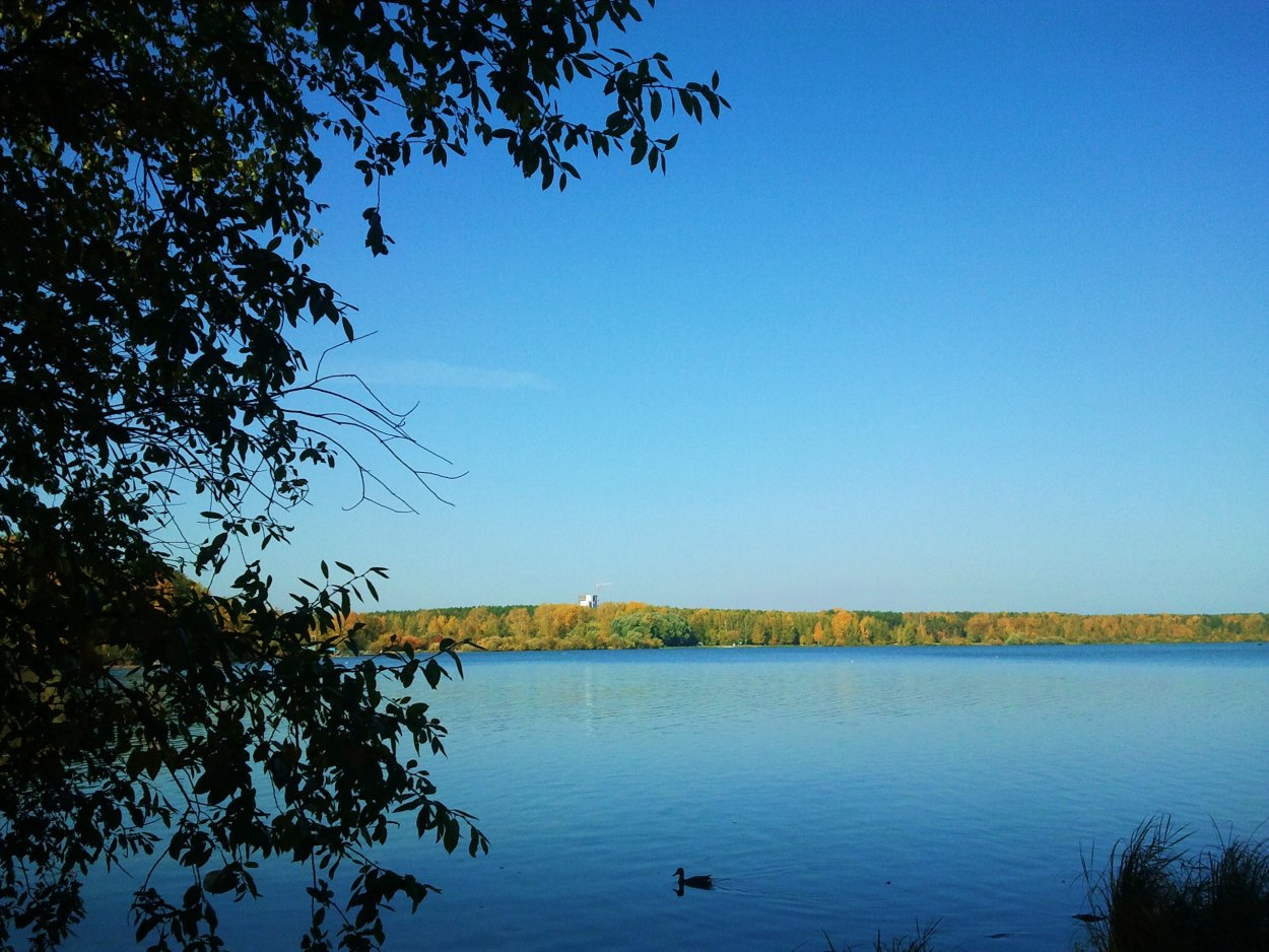 Озеро голубое низино